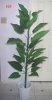 tree-3-0008-48-30-20k.jpg