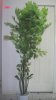 tree-4-0005-40-40k.jpg