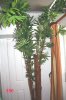 tree_8-0014-125-50k.jpg