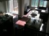 3920642_20.jpeg