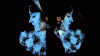 120410121029_goldmountain.gif