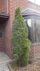 DSC03567.jpg