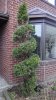 DSC03582.jpg