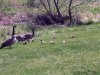 Ottawa-20120507-00145.jpg