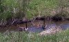 Ottawa-20120507-00141.jpg