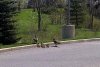 Ottawa-20120507-00140.jpg