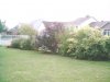 backyard1s.jpg