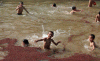 1469358227_42637e9ebe_o.GIF