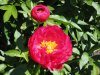 DSC00707.jpg
