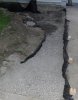 DSC00724.JPG