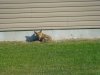 DSC00883.JPG