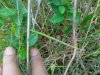 20120619098.jpg