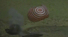 Image2.gif