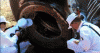 Image111.gif
