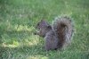 IMG_8300.jpg