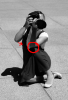 avoiding-camera-shake-3.png