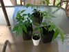 DSC04356.JPG