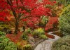 fall_bg.jpg