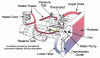Cooling-System.gif