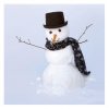 Snowman2.jpg