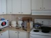 DSC00147.jpg
