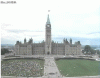 Image1.gif