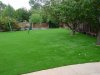 32%20Artificial%20Grass%20Domestic%20Lawn%20After.jpg