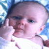 1锛_锛_[1].gif