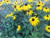 20120806_191602.jpg