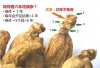 ginseng1.jpg