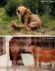 before_and_after_marriage.jpg