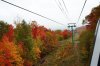 DSC00682.jpg