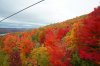 DSC00696.jpg