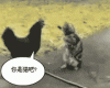 85c48b86jw1dxjipce8gwg.gif