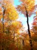 P1070105 - Copy.JPG