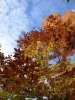 DSC00918副本.jpg