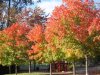 Dsc00381b.jpg