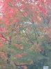 IMG_6404s.jpg