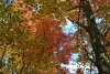 DSC_0040 (800x536).jpg
