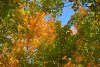 DSC_0049 (800x536).jpg