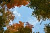 DSC_0078 (800x536).jpg