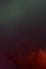 _MG_6555_filtered.jpg
