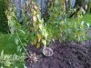 20121011387.jpg