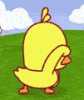 Cute chick.gif