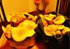 mushrooms.jpg