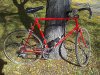 IMG-20121008-00264.jpg