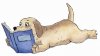 dog-reading.jpg