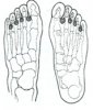 foot4.jpg