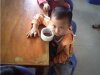 20121025170533864.jpg