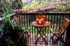12102717530b4a406bec40f83b_jpg_thumb.jpg